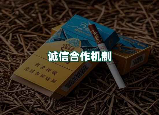核心优势